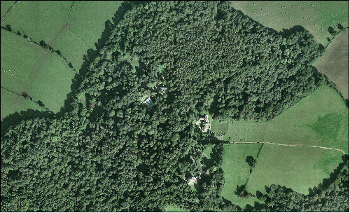 Wooded Farmland Aerial View