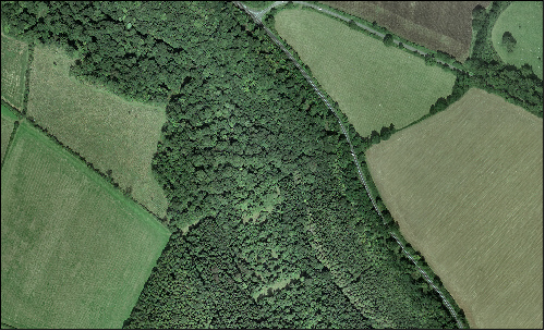 Wooded Pasture Valleys & Slopes Aerial View