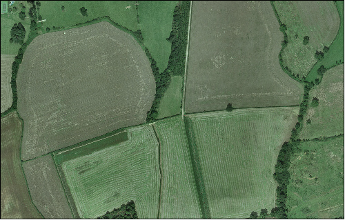 Settled Ancient Pasture Aerial View
