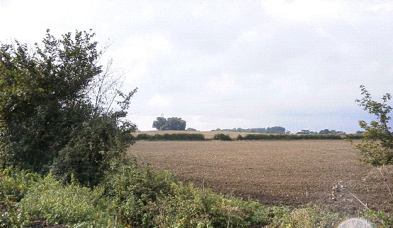 Farmland Hills