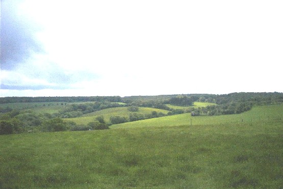 Wooded Estate Slopes & Valley Sides