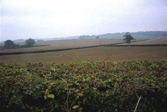 Vale Farmland