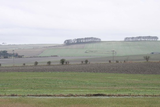 Rolling Farmland