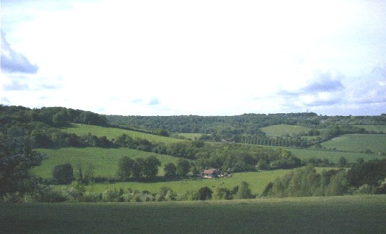 Wooded Farmland