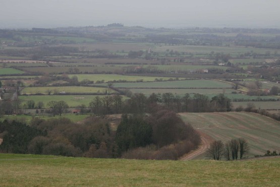 Clay Vale