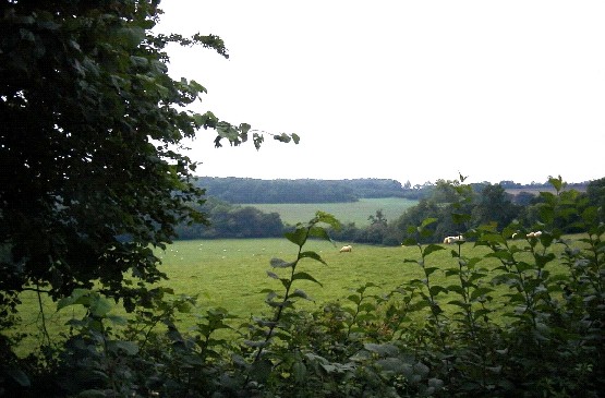 Wooded Pasture Valleys & Slopes