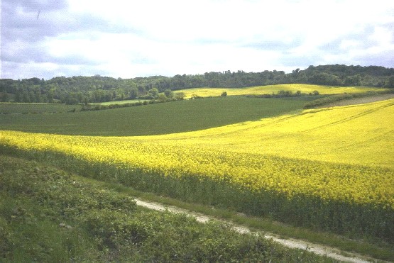 Estate Farmlands