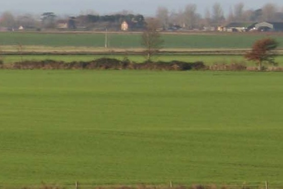 Terrace Farmland