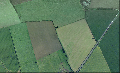 Rolling Farmland Aerial View